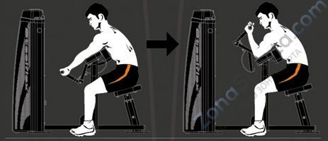 Бицепс машина Steel Flex Hope HBC600