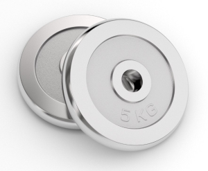 Диск хромированный UNIX Fit 5 кг, 25 мм