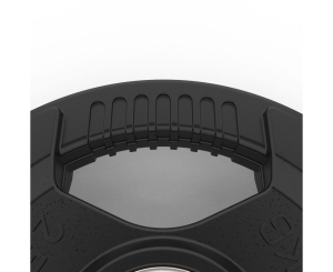 Диск обрезиненный с хватом 2,5 кг / диаметр 51 мм DFC