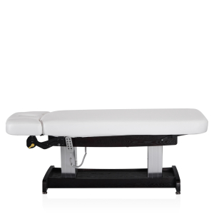 Электрический стационарный массажный стол Mizomed Union Salon