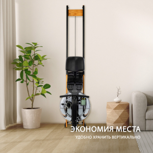 Гребной тренажер Apollo Plus BT