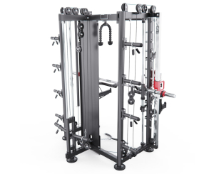 Мультистанция, машина Смита DFC Gorilla Sport 100822