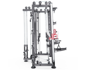 Мультистанция, машина Смита DFC Gorilla Sport 822