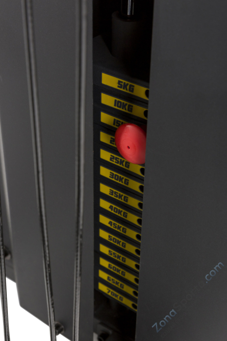 Мультистанция Tunturi HG80