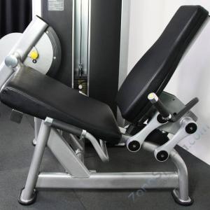 Разгибание ног Protrain 61A24-80