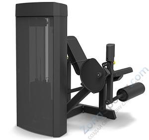 Разгибание ног сидя Spirit SP-4305