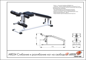 Сгибание и разгибание ног на свободных весах ARMS AR034