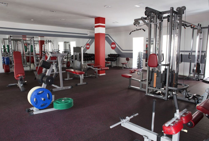 Стойка для олимпийских дисков Impulse IFPTO