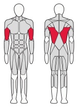 Верхняя тяга Fitex Pro FTX-FB35